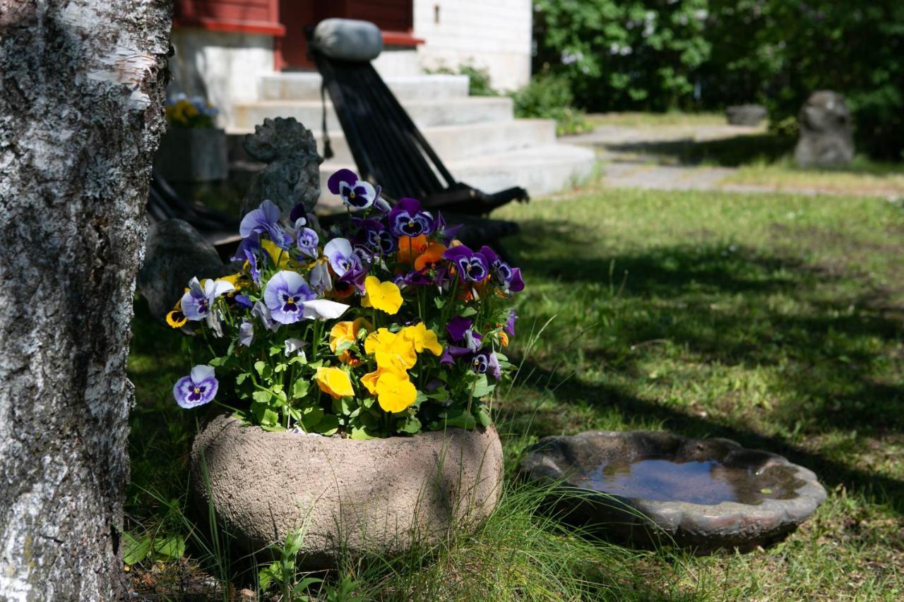 Lovely Nest In Nomme タリン エクステリア 写真